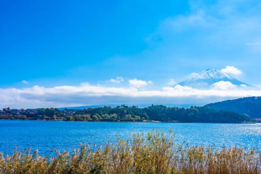 Dağ fuji akçaağaç yaprağı ağaç göl sonbahar sezonu ile güzel manzara