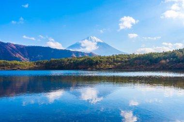 Güzel manzara dağ fuji göl Yamanashi Japonya akçaağaç ağaç yaprak ile