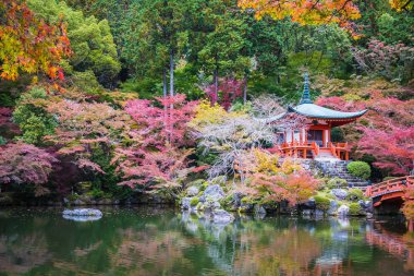 Güzel Daigoji Tapınağı ile renkli ağaç ve yaprak sonbahar s