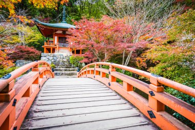 Güzel Daigoji Tapınağı ile renkli ağaç ve yaprak sonbahar s