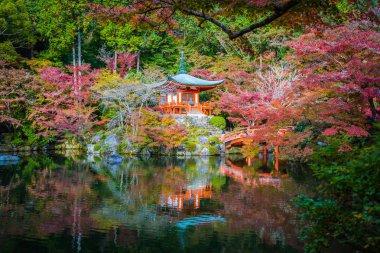 Güzel Daigoji Tapınağı ile renkli ağaç ve yaprak sonbahar s