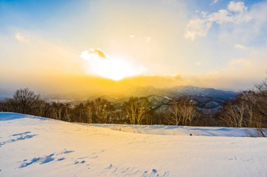 Dağın etrafından kar kış deniz ağacında ile güzel manzara