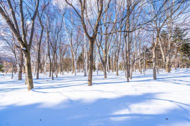Kar kış sezonu ağacında ile güzel manzara