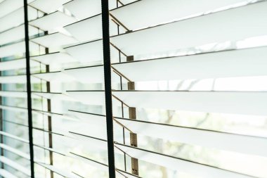 Güzel perdeler pencere güneş ışığı dekorasyon iç Oda