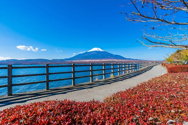 Bela Paisagem Fuji Montanha Torno Lago Yamanakako Japão — Fotografia de Stock
