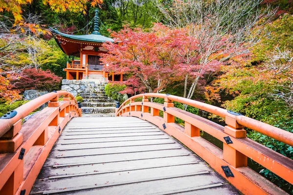 Güzel Daigoji Tapınağı ile renkli ağaç ve yaprak sonbahar s — Stok fotoğraf