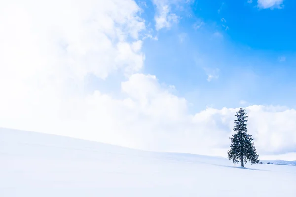 Hermoso Paisaje Naturaleza Aire Libre Con Solo Árbol Navidad Nieve — Foto de Stock