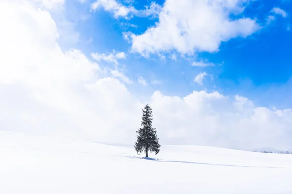 空と雲と雪の冬の天気シーズンで単独で人工クリスマス ツリーと美しい屋外の自然風景 — ストック写真