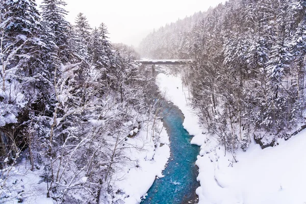 美丽的户外自然景观与雪拉热瀑布和桥梁在雪冬季节北海道日本 — 图库照片
