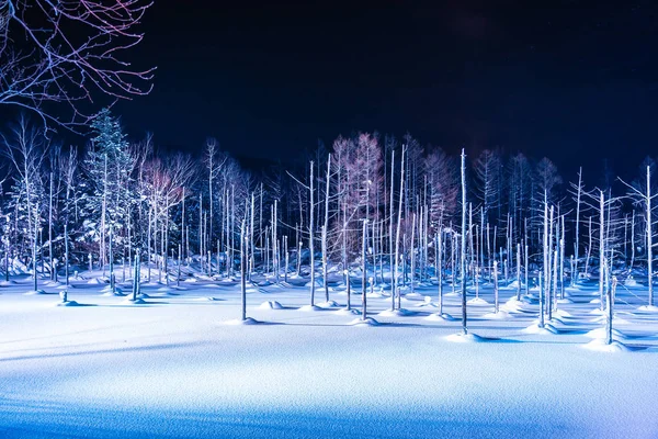 Beau Paysage Extérieur Avec Étang Bleu Rivière Nuit Avec Lumière — Photo