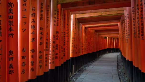 Kyoto Fushimi Inari Tapınağı Etrafında Tori Kapı Doğal Görüntüleri Japonya — Stok video