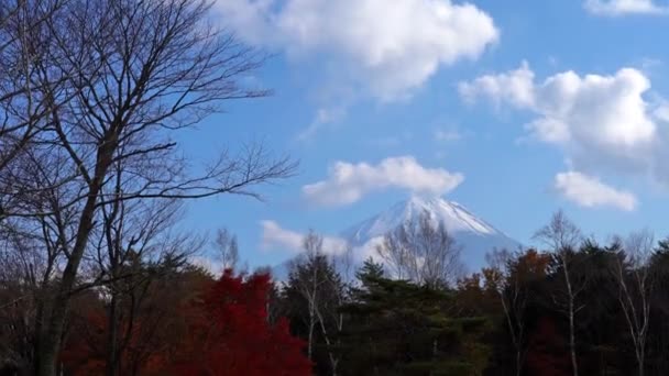 Scenic Footage Beautiful Mountain Fuji Japan — Stock Video