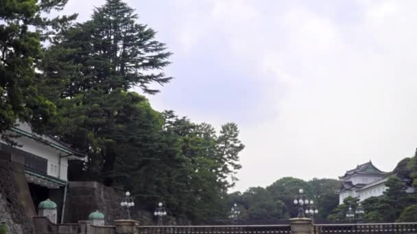 Imágenes Escénicas Hermosa Pagoda Japonesa Tradicional — Vídeo de stock