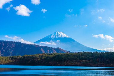 Dağ fuji ile akçaağaç yaprağı ağacın etrafında güzel manzara
