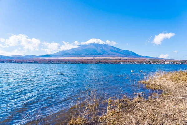 Όμορφο τοπίο του βουνού fuji γύρω από τη λίμνη yamanakako — Φωτογραφία Αρχείου