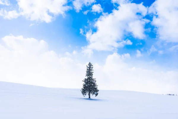 Hermoso paisaje de naturaleza al aire libre con solo árbol de Navidad en — Foto de Stock