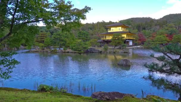 Güzel Geleneksel Japon Pagoda Doğal Görüntüleri — Stok video