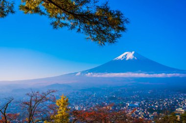 Güzel manzara dağ fuji akçaağaç yaprağı ağacında çevresinde bir