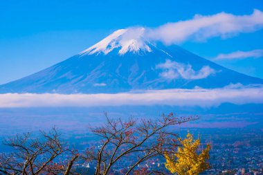 Güzel manzara dağ fuji akçaağaç yaprağı ağacında çevresinde bir