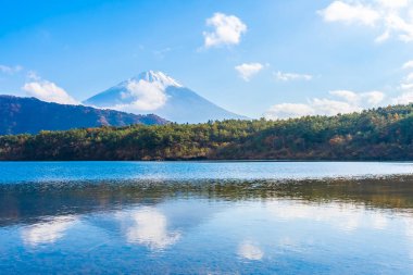 Dağ fuji ile akçaağaç yaprağı ağacın etrafında güzel manzara