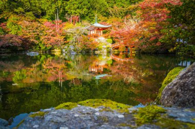 Güzel Daigoji Tapınağı ile renkli ağaç ve yaprak sonbahar s