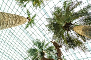 Çiçek kubbe Bahçesi ve greenhous bina güzel mimari