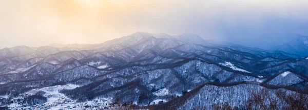 Piękny krajobraz z góry wokół drzewa w morze zima śnieg — Zdjęcie stockowe