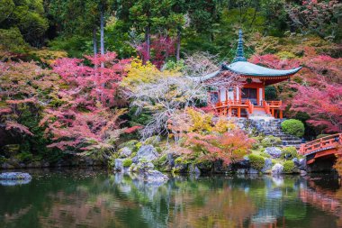 Güzel Daigoji Tapınağı ile renkli ağaç ve yaprak sonbahar s