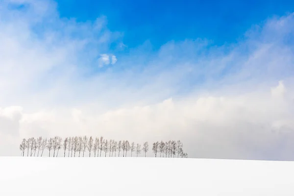 Vackra utomhus natur landskap med trädgren i grupp — Stockfoto