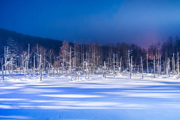 Beau paysage extérieur avec étang bleu rivière la nuit avec l — Photo