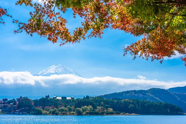 Красивий краєвид гірських фудзі з кленовим листям дерева навколо — стокове фото