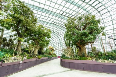 Çiçek kubbe Bahçesi ve greenhous bina güzel mimari