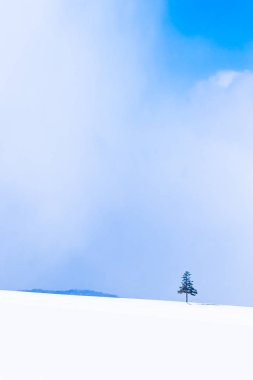 Güzel açık doğa manzara ile Noel ağacı kışın
