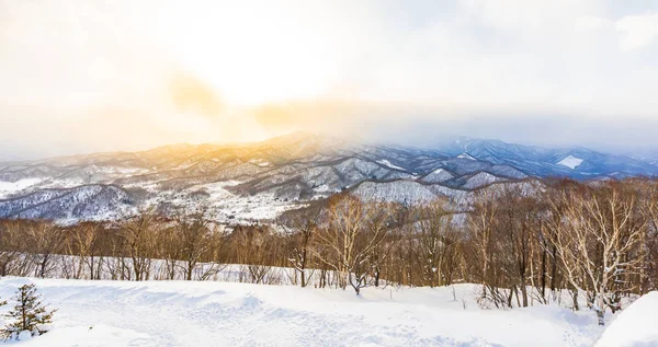 雪の冬の海での木の周りの山と美しい風景 — ストック写真