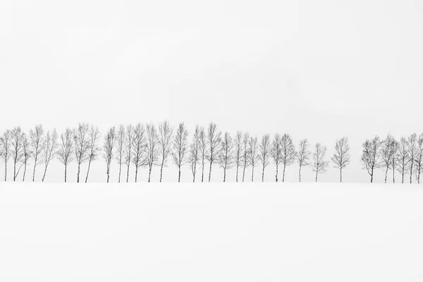 木の枝でのグループと美しい屋外の自然風景 — ストック写真