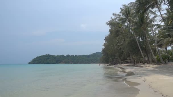 Imágenes Tranquilas Hermoso Mar Ondulado — Vídeo de stock