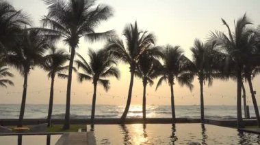 günbatımı güzel dalgalı denizde sakin görüntüleri