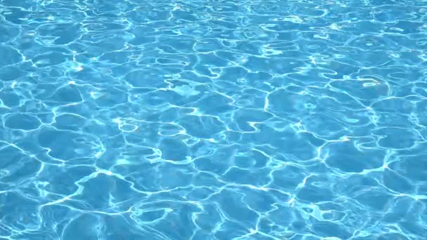 Images Plein Cadre Piscine Eau — Video