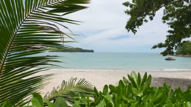 Imagens Tranquilas Belo Mar Ondulado — Vídeo de Stock