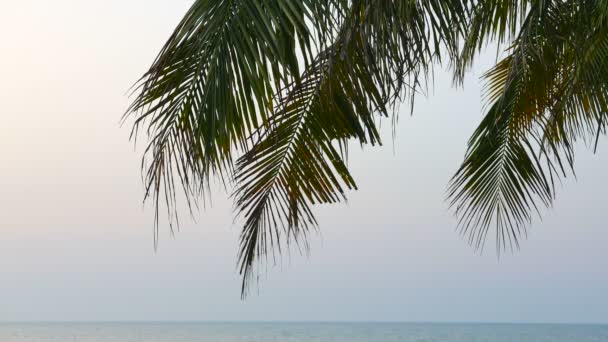 Imágenes Tranquilas Hermoso Mar Ondulado — Vídeos de Stock