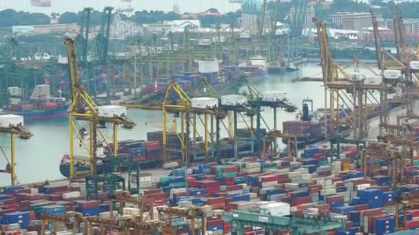 Timelapse Beelden Van Cargo Shipping Port China — Stockvideo