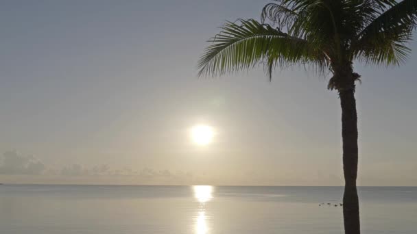 Ruhige Aufnahmen Von Wunderschönem Welligem Meer Bei Sonnenuntergang — Stockvideo