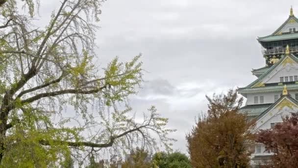 Séquences Panoramiques Belle Pagode Japonaise Traditionnelle — Video