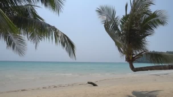 Imagens Tranquilas Belo Mar Ondulado — Vídeo de Stock