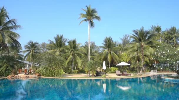 Imagens Cênicas Piscina Resort — Vídeo de Stock