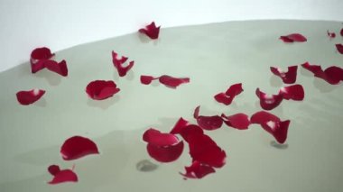 Banyo suyunda süzülen taç yapraklarının görüntüleri.