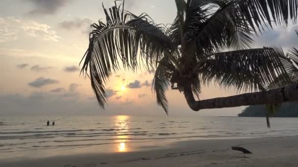 Imágenes Tranquilas Hermoso Mar Ondulado Puesta Del Sol — Vídeo de stock