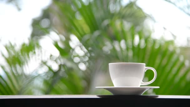 站在自然背景前的阳台上的咖啡杯的特写镜头 — 图库视频影像