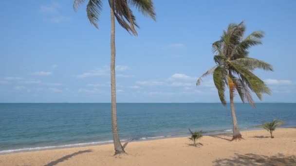 Imagens Tranquilas Belo Mar Ondulado — Vídeo de Stock