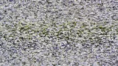 arka plan için dijital tv gürültü tam kare görüntüleri